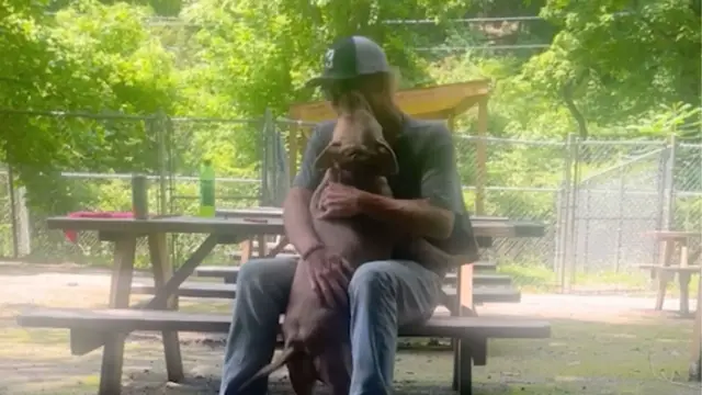 Video thumbnail for Dog Whose Owner Died In Car Crash Reunited With Family