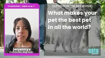 Video thumbnail for Jenny's pet is there when you need her. Reliable and adorable!