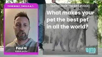 Video thumbnail for Paul's Golden Retriever is like two pets in one!