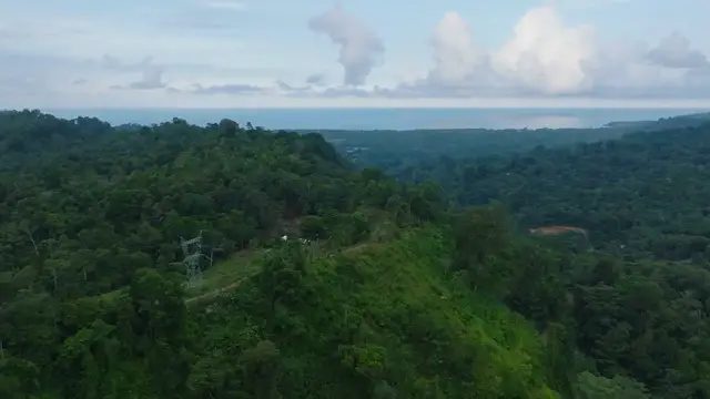 Video thumbnail for Best Fast-Growing Shrubs for Privacy