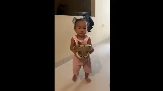 Video thumbnail for Toddler Picks Up and Drops a Snake in Tangerang