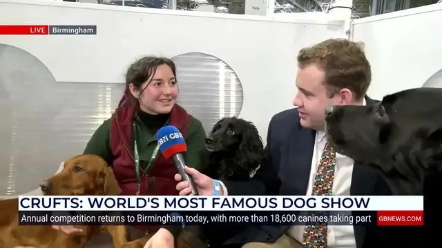 Video thumbnail for WATCH: Jack Carson cuddles up with adorable gun dog trainees at Crufts