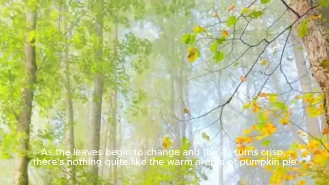 Video thumbnail for Pumpkin Pie Recipes