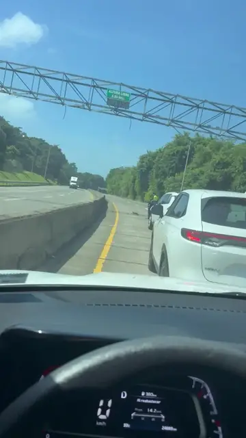 Video thumbnail for Police Rescue Sloth from Busy Highway in Panama City