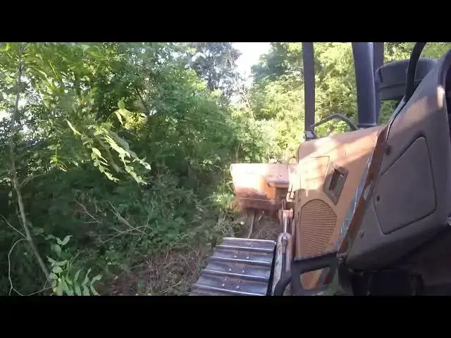 Video thumbnail for Finishing up Clearing