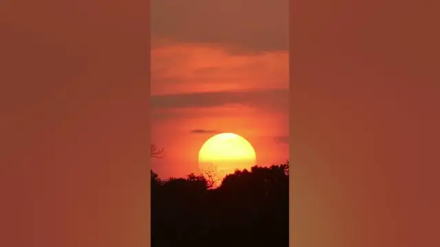 Video thumbnail for Life in Nature | Peace and Calm #shorts