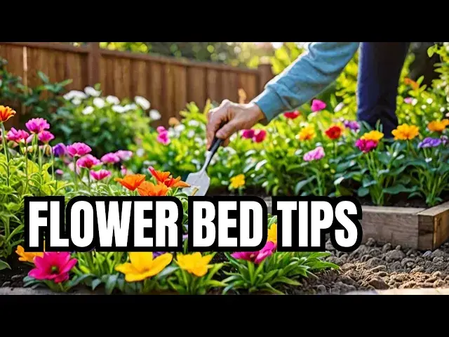 Video thumbnail for 🌺How to Refresh Your Summer Flower Beds: Step-by-Step!