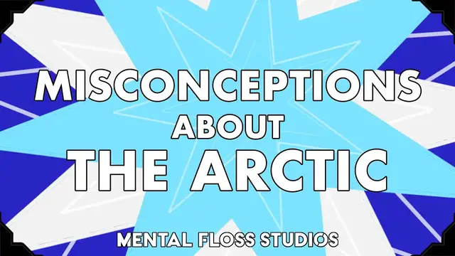 Video thumbnail for Misconceptions About the Arctic | Mental Floss