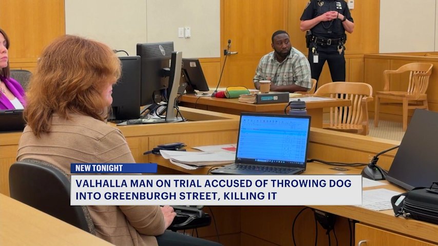 Video thumbnail for Opening statements begin in trial of man accused of killing small dog by throwing it into the street