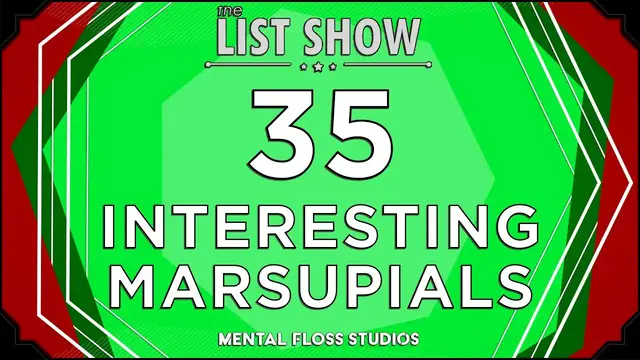 Video thumbnail for 35 Adorable & Fascinating Marsupial Facts | Mental Floss