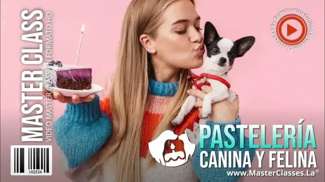 Video thumbnail for Comida saludable mini pincher (Curso Recetas)🐕