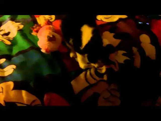 Video thumbnail for BABY KITTY FOR JAYA