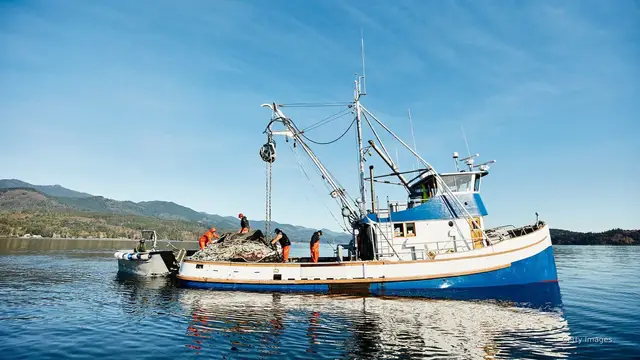 Video thumbnail for Trump EOs aim to boost US fishing by easing rules, opening marine reserves