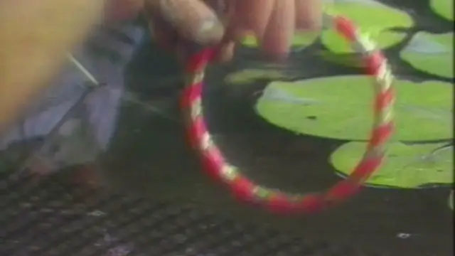 'Video thumbnail for Bob Uecker introduces Animal Legends for Episode 18 of The Wacky World of Sports'