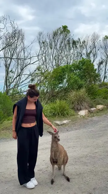 Video thumbnail for First Close Encounter with a Friendly Kangaroo
