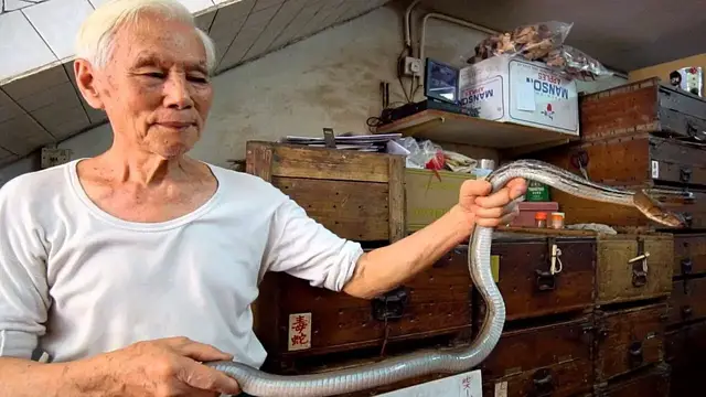'Video thumbnail for Hong Kong's BEST Street Food Guide!! SNAKE SOUP + 100 Year Old Street Food in HONG KONG (POISONOUS!)'