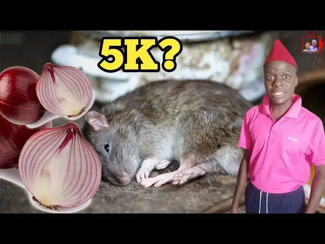 Video thumbnail for I BOUGHT ONIONS THAT WORTH 5000 TO KILL RATS (vlog 9)