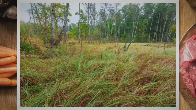 Video thumbnail for Steaming Carrots in the Microwave: Unlocking the Secrets to Quick, Easy, and Deliciously Healthy Meals!