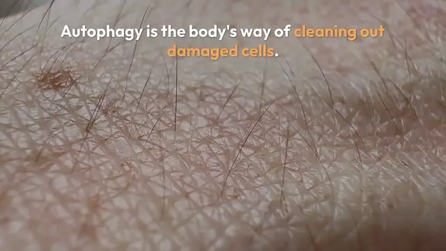 Video thumbnail for Benefits of Autophagy Explained