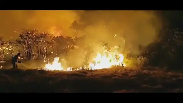 Video thumbnail for Waldbrand im August 2019 in Valleseco Video 4