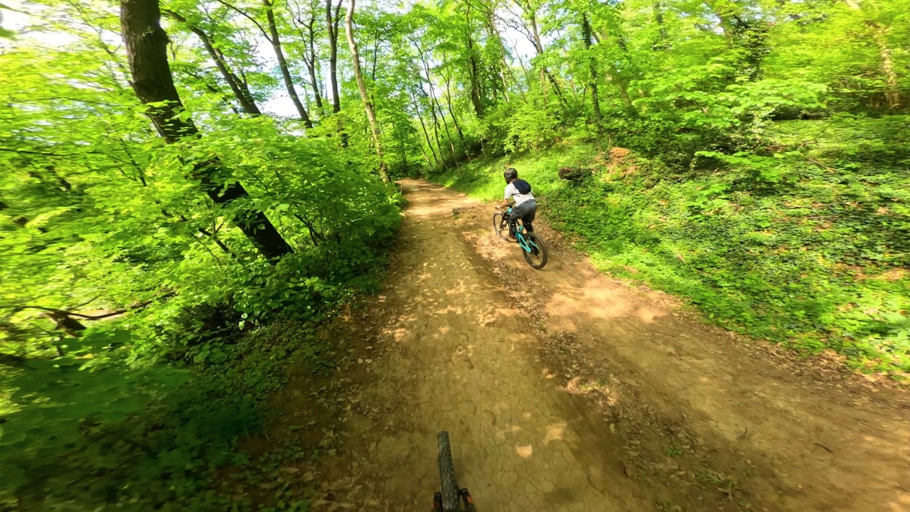 Video thumbnail for Biker crashes into a tree during a fast ride at Košutnjak Bike Park