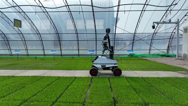 Video thumbnail for China: China's old industrial base finds new ambition in robotics.