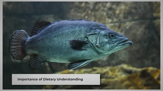 Video thumbnail for Feeding Your Pet Bluegill: A Quick Guide