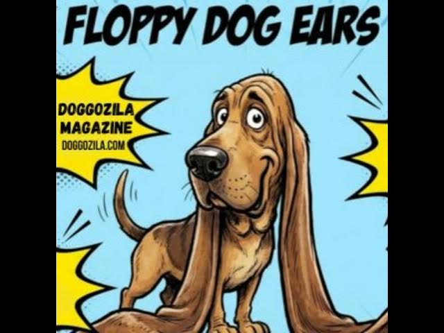 Video thumbnail for Studies and Anecdotes About Floppy Dog Ears