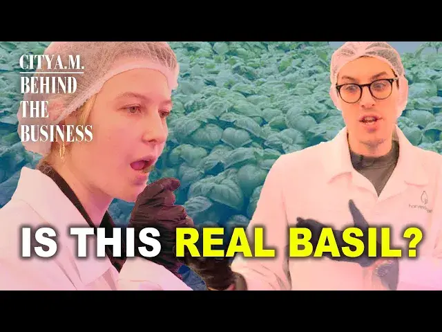 Video thumbnail for An inside look at Harvest London