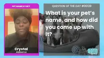 Video thumbnail for Crystal's dog is a Boss, literally!