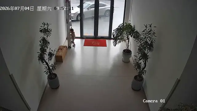Video thumbnail for China: Chinese boy narrowly avoids falling ladder after climbing it alone.