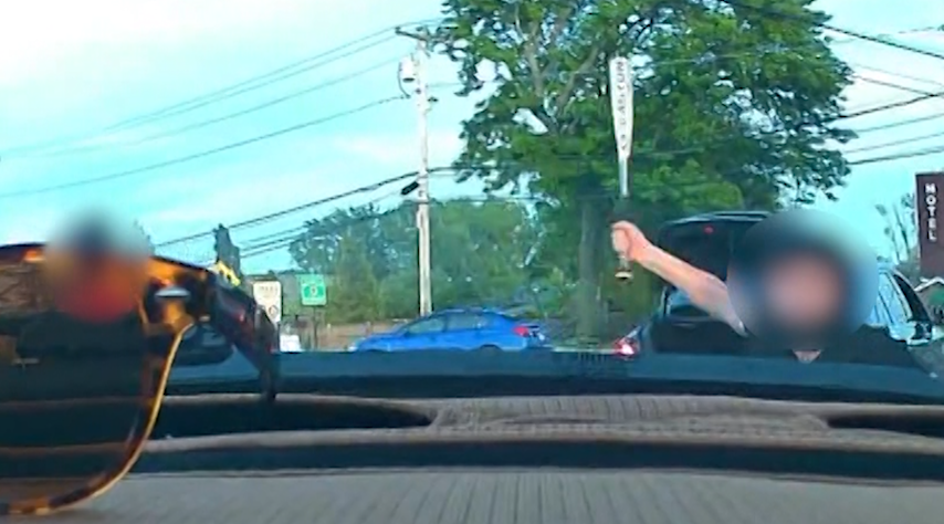 Video thumbnail for 2 teens charged for menacing and attacking drivers in Bayville
