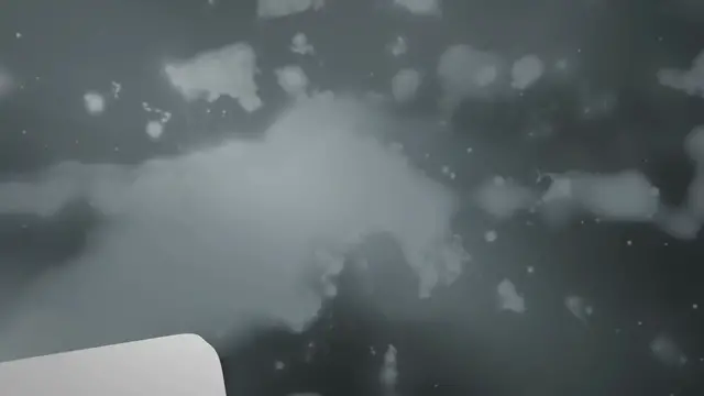 Video thumbnail for Can Prairie Dogs Eat Pineapples? | An Informative Guide