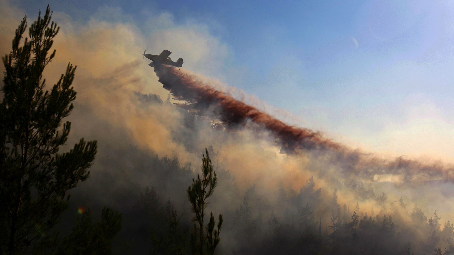 Video thumbnail for Israel’s chemical spraying destroys Syrian farmland and livelihoods