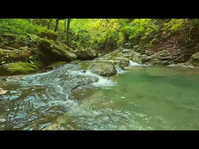 'Video thumbnail for nature Islamic background video'