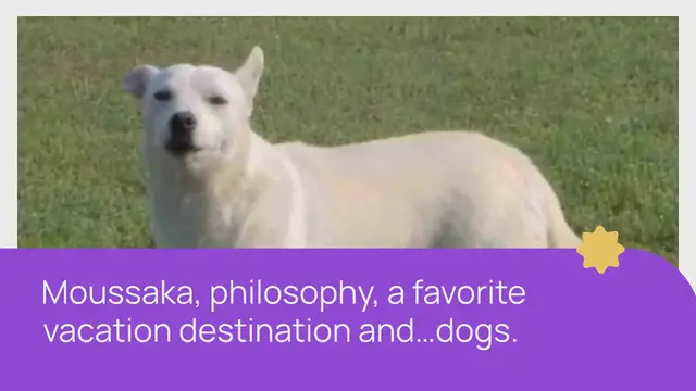 Video thumbnail for 6 Greek Dog Breeds (With Pictures!)