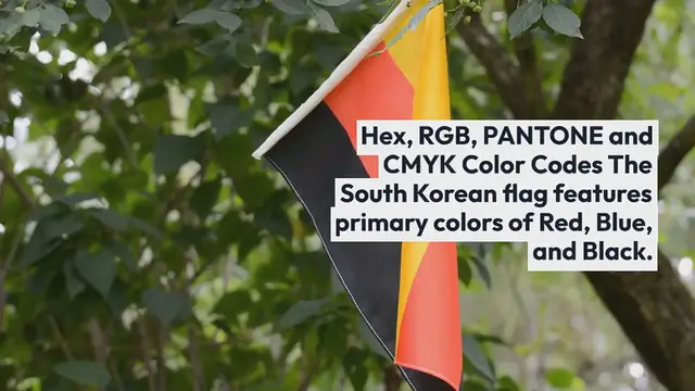 Video thumbnail for South Korea Flag Colors