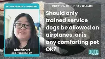 Video thumbnail for Sharon thinks service animals should only be dogs or cats. Fair enough!