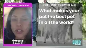 Video thumbnail for Devan's pet Prim is the cutest in the world!