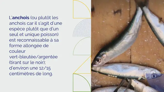 Video thumbnail for Higher_Ed_Marketing_Trends_Unveiled