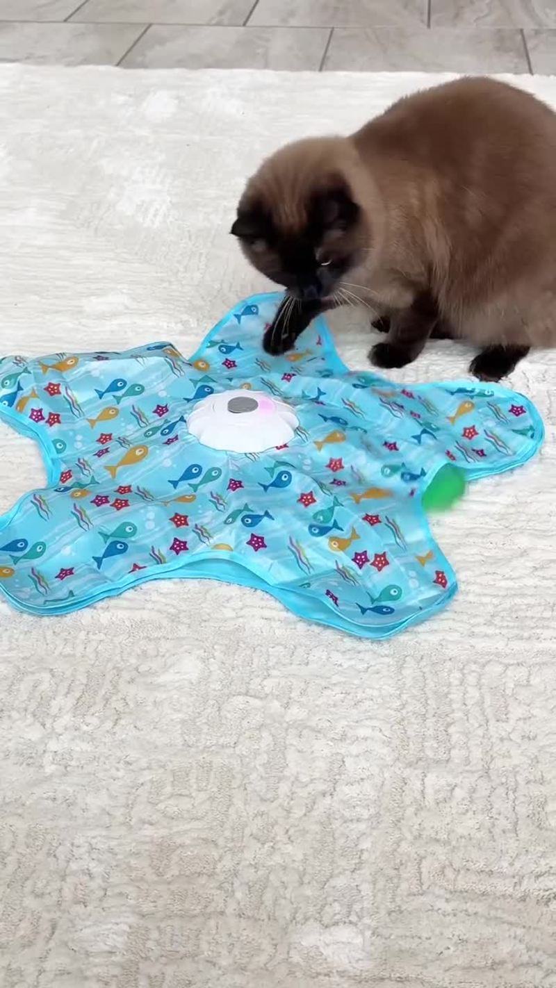 Video thumbnail for Lazy Cats Playing with an Interactive Moving Feather Mat