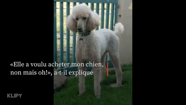 Video thumbnail for «Dis donc, sale gosse!»: comment Jean-Pierre Foucault a repris la fille de Madonna.