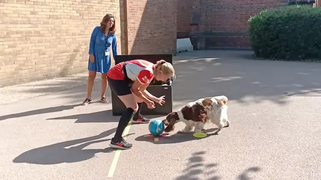 Video thumbnail for Most football (soccer) goals scored by a dog in 30 seconds - 5 by Olga Jones and Bonnie