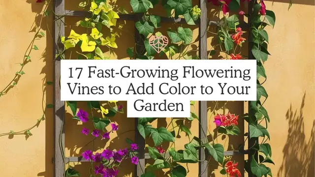 Video thumbnail for 17 Fast-Growing Flowering Vines