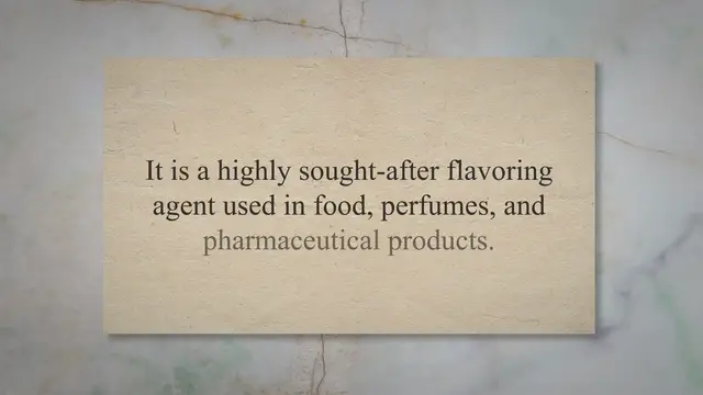 'Video thumbnail for Vanilla: Important Medicinal Benefits of Vanilla Beans, Essential Oils'