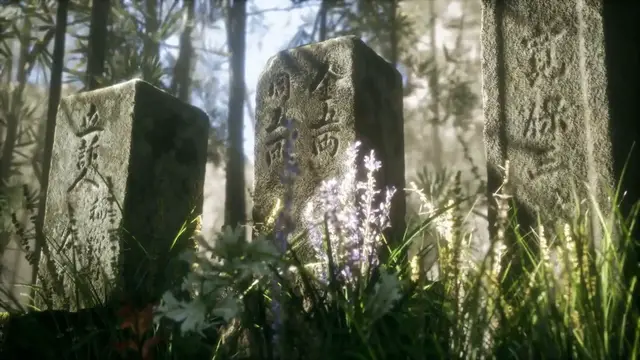 Video thumbnail for Best Perennial Plants for Shade