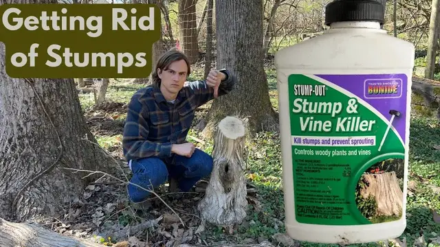 Video thumbnail for How to Get Rid of Old Stumps using Stump & Vine Killer