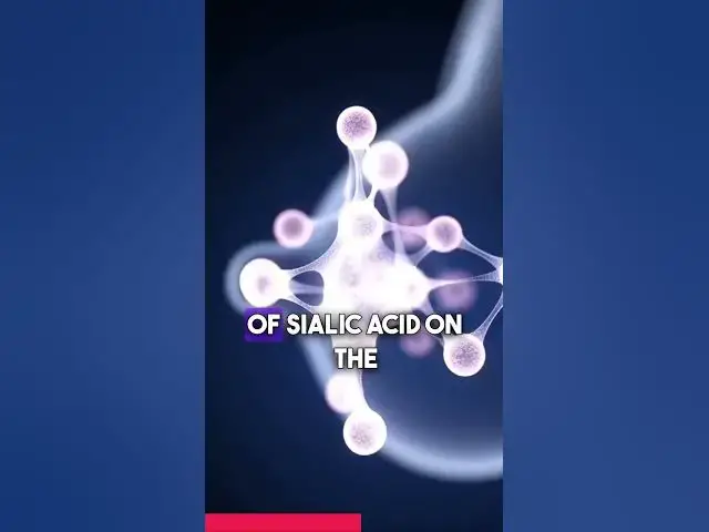 Video thumbnail for Breastfeeding and Autism Prevention: The Sialic Acid Connection You Need to Know