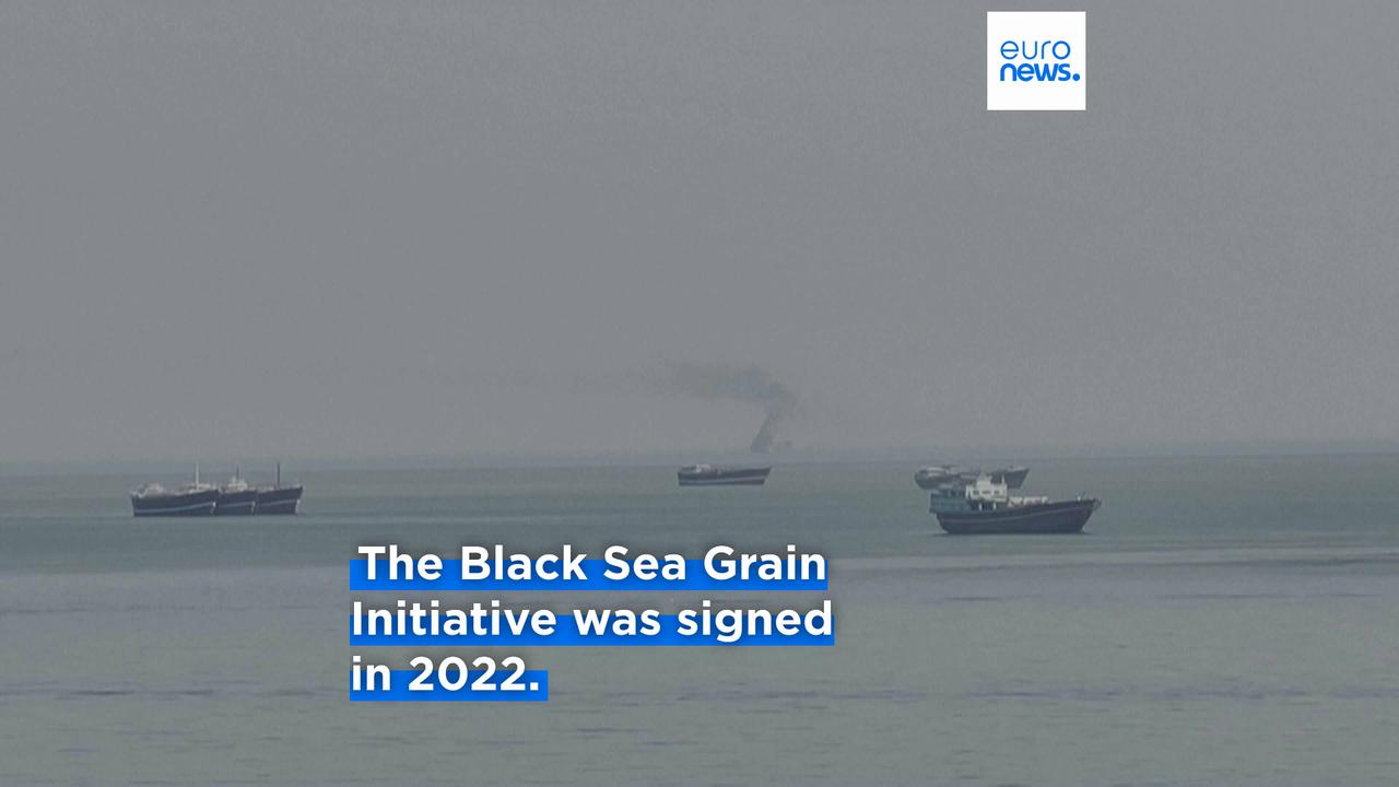 Video thumbnail for What are Ukraine's new Gulf defence deals? Here is what Zelenskyy signed