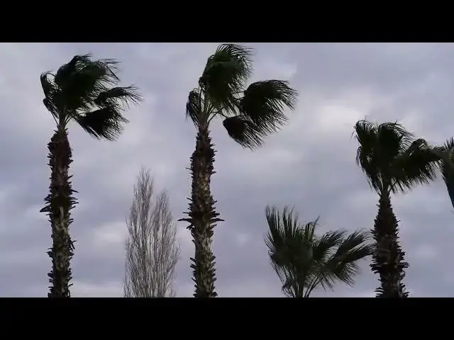 Video thumbnail for Rain HD